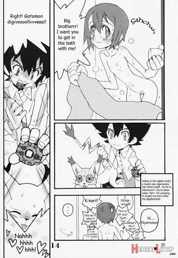 DIGIMON QUEEN 01 page 13