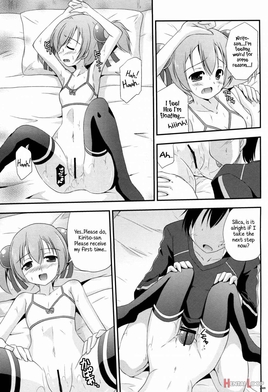 Silica Route Online page 15