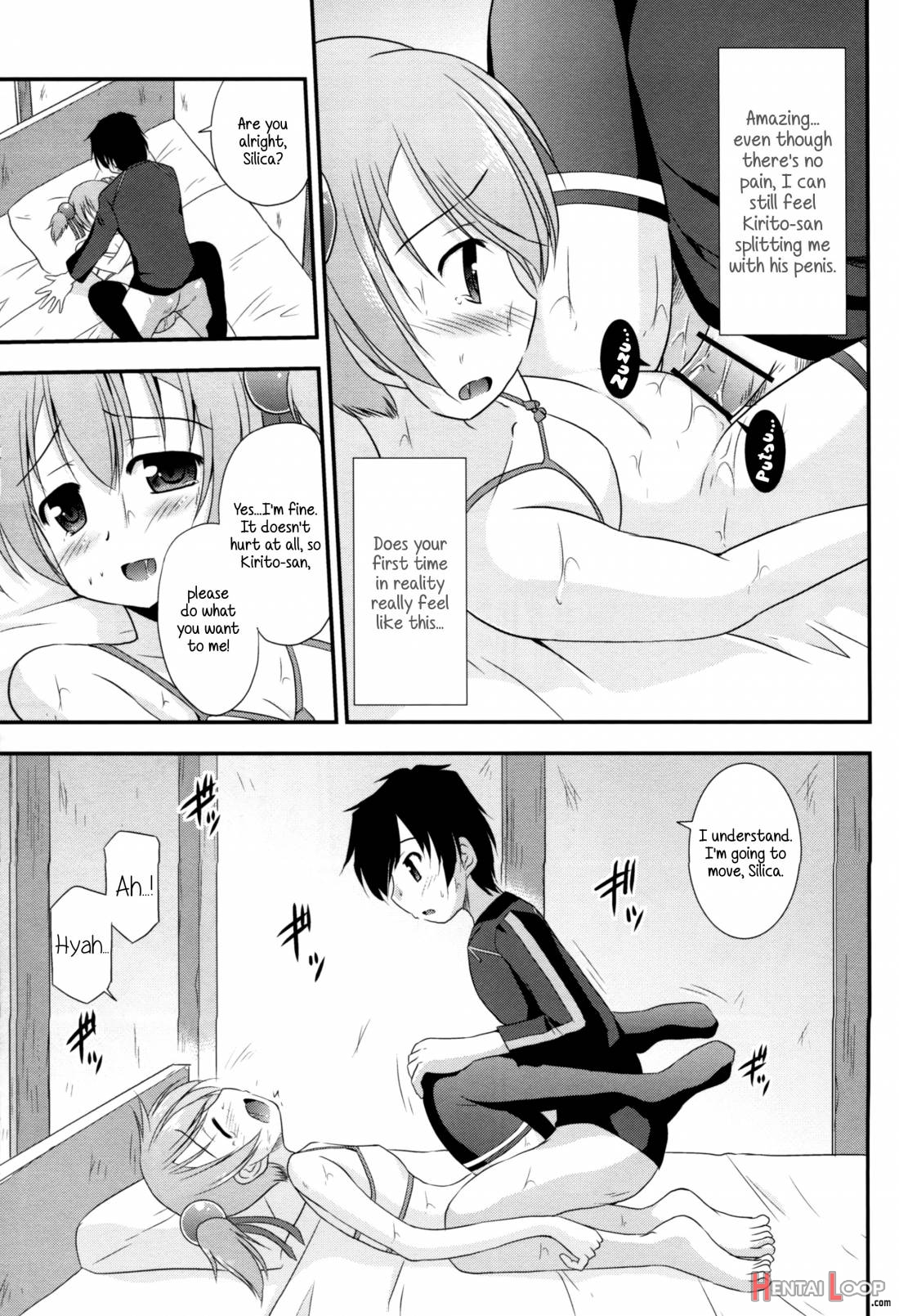 Silica Route Online page 17