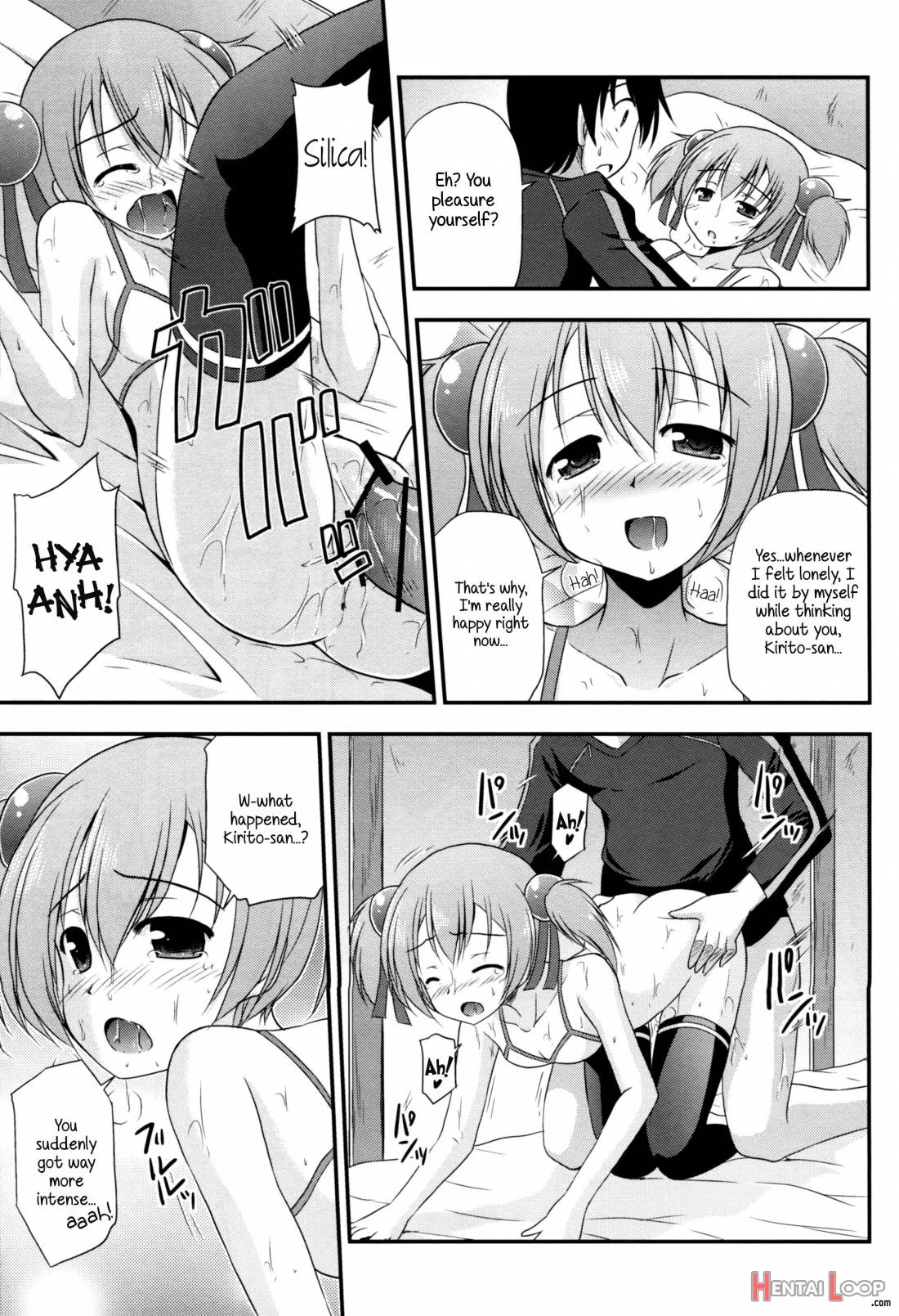Silica Route Online page 19