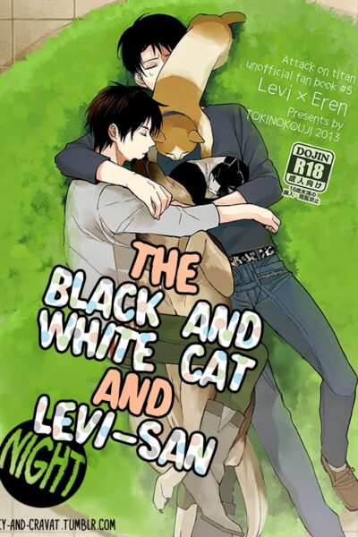The Black And White Cat And Levi-san page 1