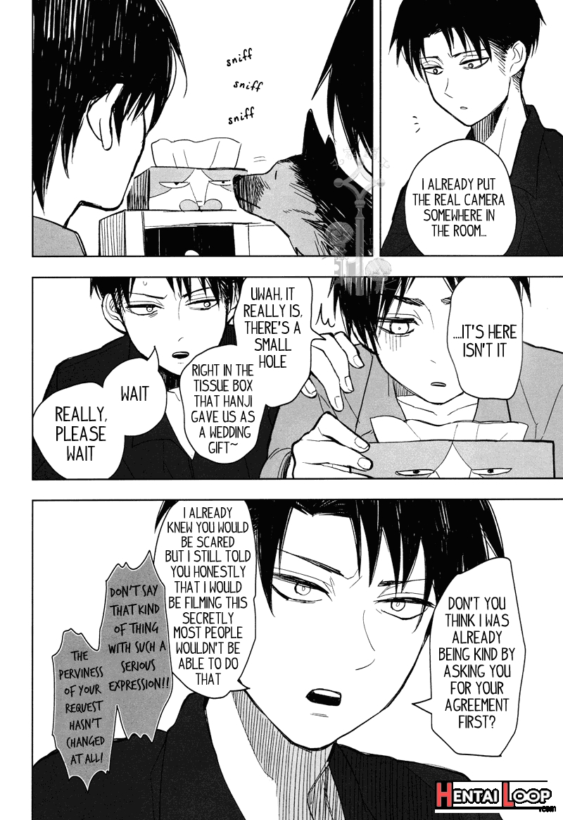 The Black And White Cat And Levi-san page 14