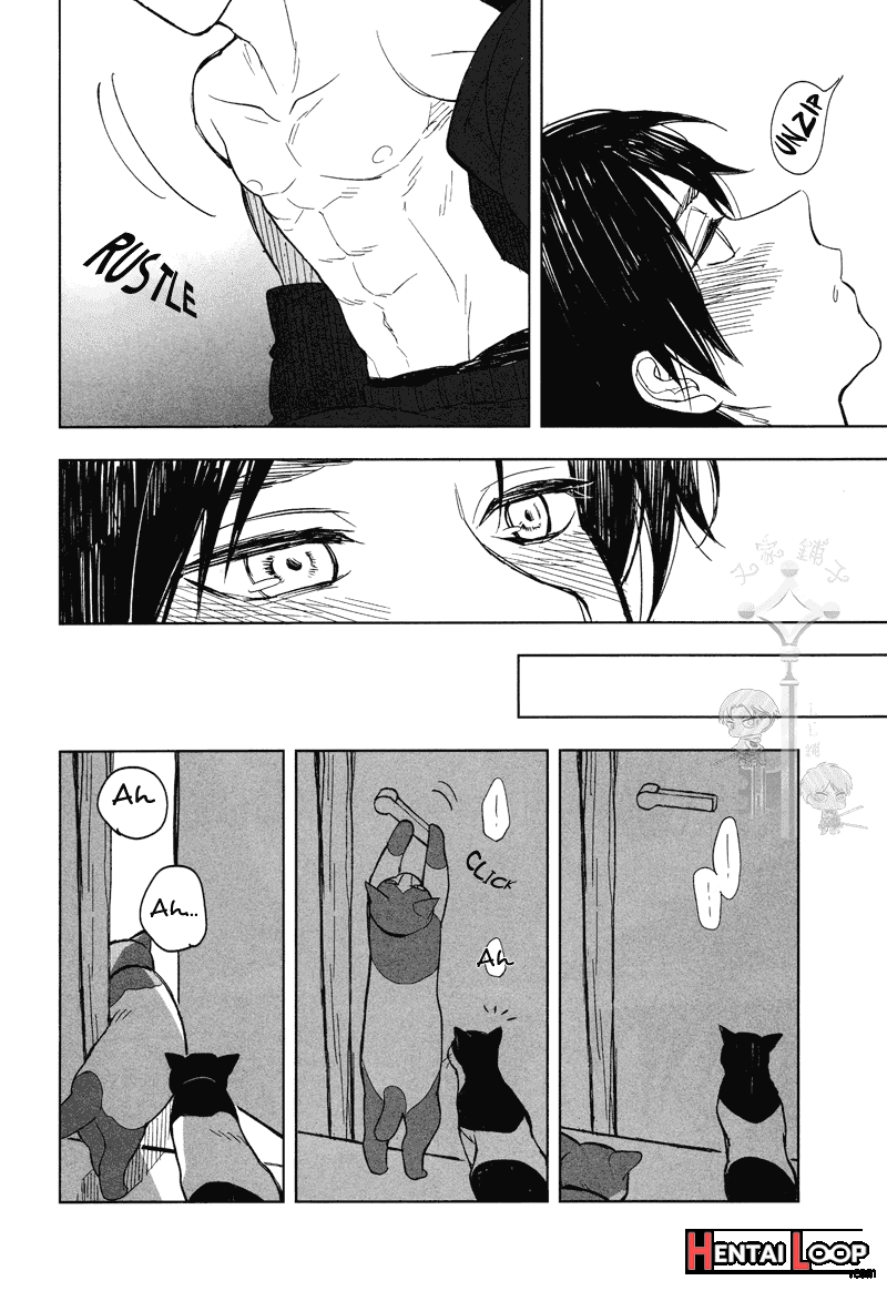 The Black And White Cat And Levi-san page 24
