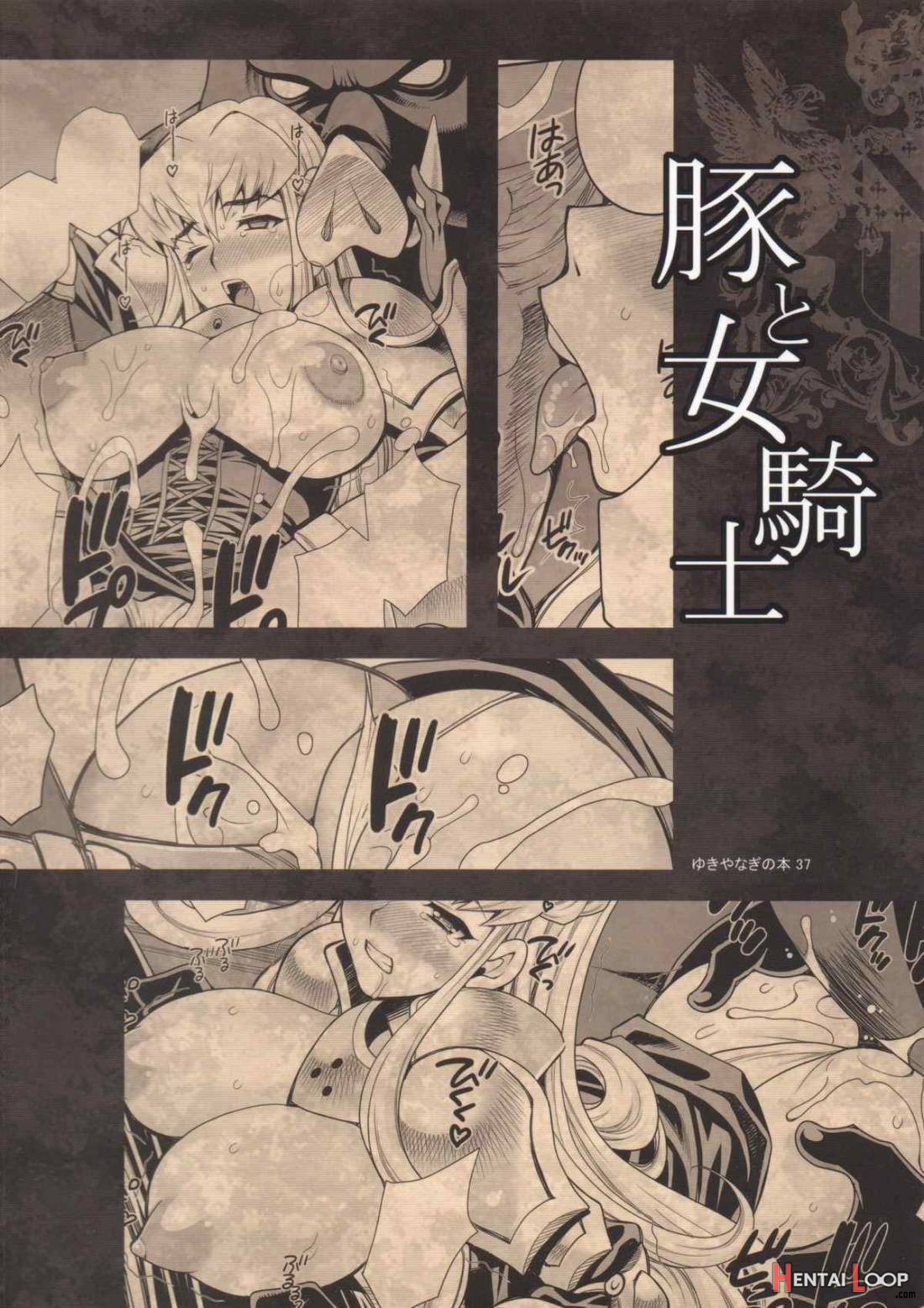 Yukiyanagi no Hon 37 Buta to Onnakishi – Lady knight in love with Orc page 25